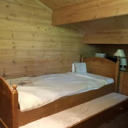 Appartement Cosy Chalet Mountain View - Gstaad