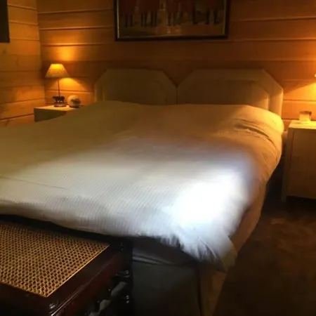 Cosy Chalet Mountain View - Gstaad Apartment *