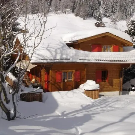 Cosy Chalet Mountain View - Gstaad *