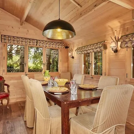 Cosy Chalet Mountain View - Gstaad *